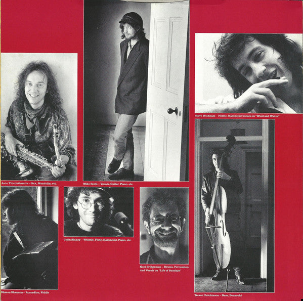The WaterBoys : Room To Roam (LP, Album)