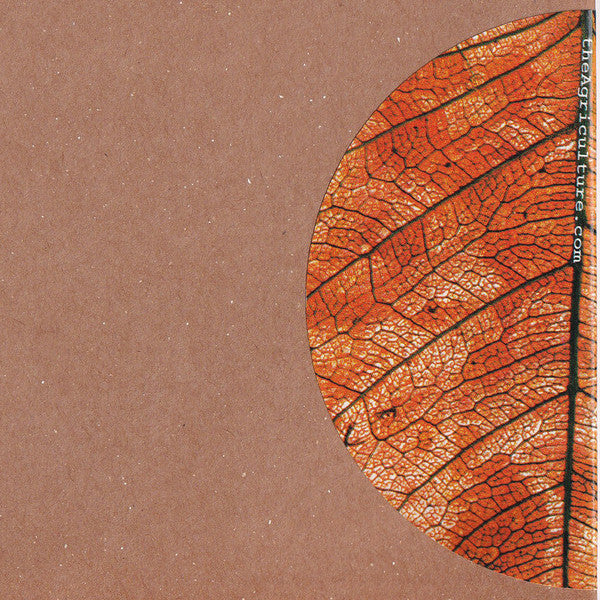 Lady Man & Badawi : 12"'s Of Sump'in (12")