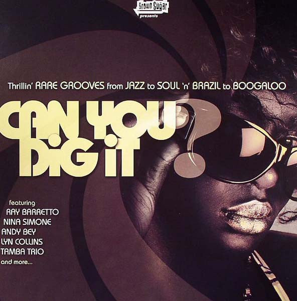 Various : Can You Dig It? (Thrillin' Rare Grooves From Jazz To Soul 'n' Brazil To Boogaloo) (2xLP, Comp, Gat)