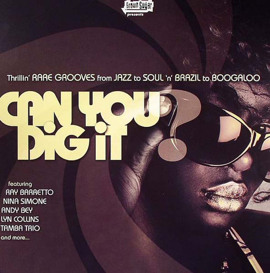 Various : Can You Dig It? (Thrillin' Rare Grooves From Jazz To Soul 'n' Brazil To Boogaloo) (2xLP, Comp, Gat)