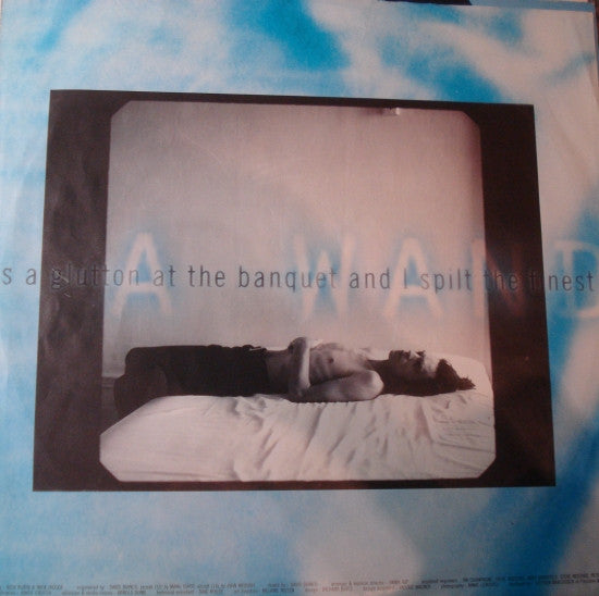 Mick Jagger : Wandering Spirit (LP, Album)