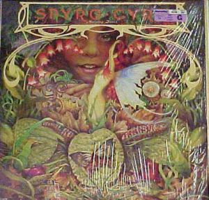 Spyro Gyra : Morning Dance (LP, Album, RE)