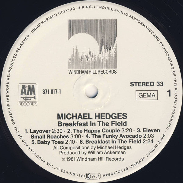 Michael Hedges : Breakfast In The Field (LP, Album)