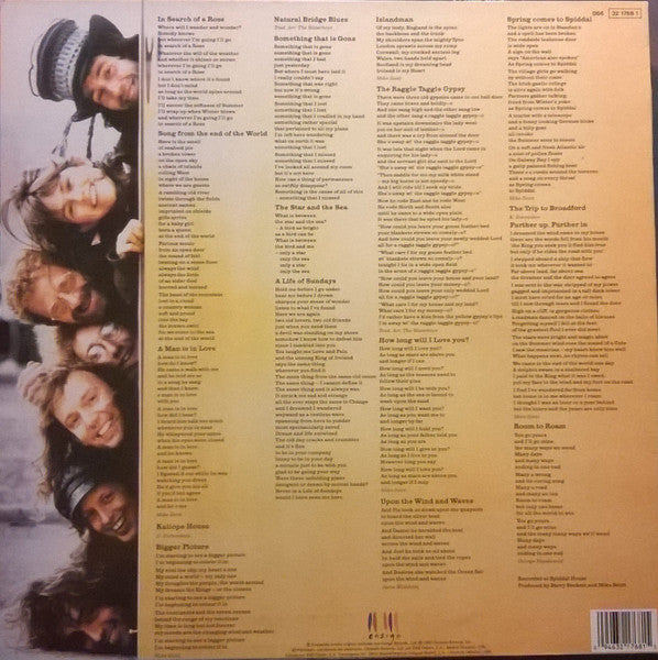 The WaterBoys : Room To Roam (LP, Album)
