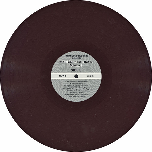 Various : Keystone State Rock - Volume 1 (18 Cool 60's Teenbeat Garage - Psych Nuggets From Pennsylvania!) (LP, Comp, Ltd, Bro)