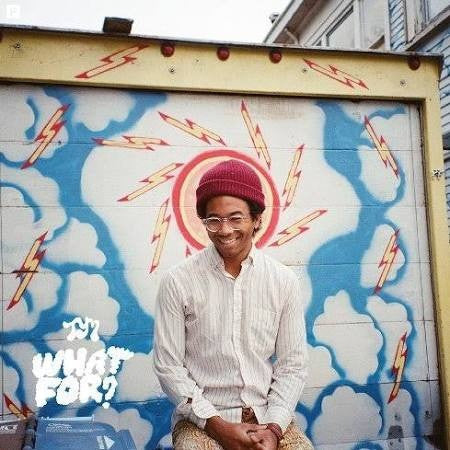 Toro Y Moi : What For? (LP, Album)