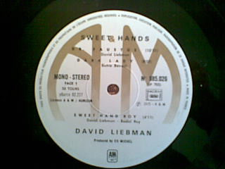 David Liebman : Sweet Hands (LP, Album, Gat)
